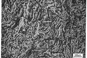 生物可降解纳米羟基磷灰石-镁金属基复合材料