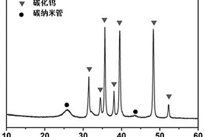 碳化钨/碳纳米管复合材料及其制备方法与应用