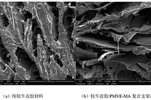牦牛皮胶/PMVE-MA复合材料及其制备方法和用途