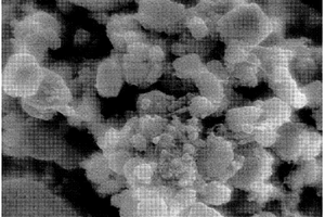 蒸发固体原料制备碳化硅纳米粒子及其复合材料的方法