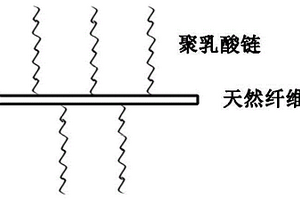 聚乳酸接枝改性天然纤维和PLA复合材料及其制备方法