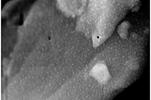 二价锰掺杂CsPbCl<sub>3</sub>钙钛矿量子点玻璃荧光温度探针复合材料及其制备方法和应用
