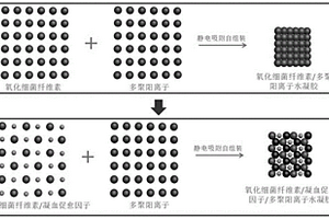 基于氧化细菌纤维素的用于局部急性止血的可吸收复合材料及其制备方法