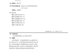 金属掺杂的In2O3的复合材料