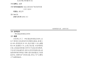 硅藻泥纳米复合材料