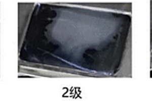 低模垢无卤阻燃PBT复合材料及其制备方法和应用
