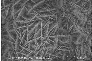 空间网络状Fe2O3复合材料电极的制备方法