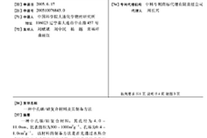 中孔碳/硅复合材料及其制备方法