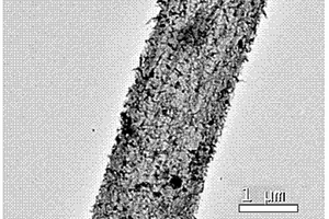去除水中有机物的生物纳米复合材料