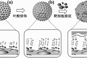 基于叶酸修饰的混合光子晶体复合材料及应用