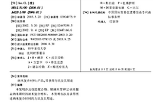 纳米复合材料:产品,其获得方法及其用途