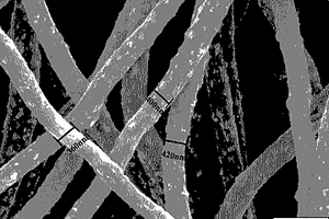 静电纺丝法制备碳纳米纤维-羟基磷灰石复合材料的方法及其修饰电极的制备