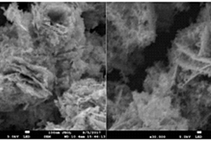 Ag/g-C<sub>3</sub>N<sub>4</sub>修饰钨酸铋混晶复合材料及其制备方法和应用