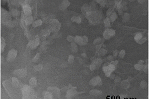 石墨烯包覆的Co掺杂的Ni3(NO3)2(OH)4复合电极材料的制备方法