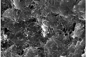 石墨相C3N4/碳纳米管复合对电极的制备方法