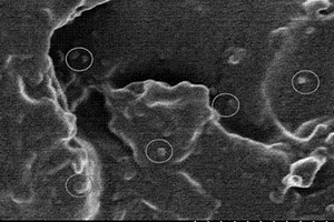 聚四氟乙烯纳米粒子改性酚醛树脂耐磨材料及其制备方法