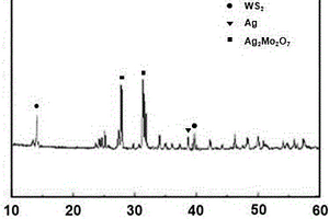 Ag/Ag<Sub>2</Sub>Mo<Sub>2</Sub>O<Sub>7</Sub>/WS<Sub>2</Sub>异质结光催化材料在降解有机污染物中的应用