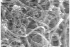 S-CNTs@MnO<sub>2</sub>锂硫电池正极材料的制备方法