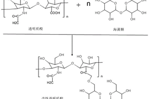 改性透明质酸复合美容整形材料的制备方法