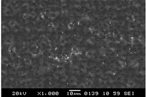 镁表面超声微弧氧化-HF-硅烷偶联剂多级复合生物活性涂层制备方法