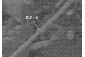 功能化玻璃纤维多尺度增强体的制备方法