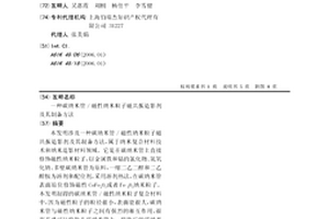 碳纳米管/磁性纳米粒子磁共振造影剂及其制备方法