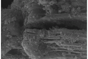 Ti<Sub>3</Sub>C<Sub>2</Sub>T<Sub>x</Sub> MXene@ZnO复合吸波材料的制备方法