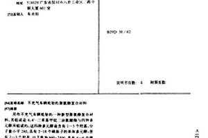不充气车辆轮胎的聚氨酯复合材料
