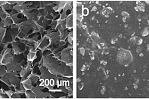 稀土磷酸盐/生物活性高分子三维多孔复合材料、其制备方法和应用