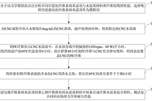 纤维素纳米晶须、合成纤维、水泥基复合材料及增强方法