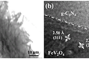 蜂窝状FeV<Sub>2</Sub>O<Sub>4</Sub>复合氮化碳负载不锈钢丝网复合材料的制备方法及应用