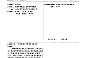 高强度分子筛及其制备方法