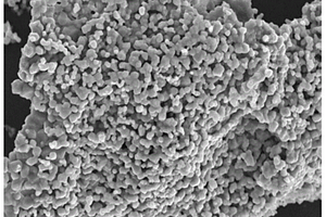 Li<Sub>1.2</Sub>Ni<Sub>0.13</Sub>Co<Sub>0.13</Sub>Mn<Sub>0.54</Sub>O<Sub>2</Sub>/Al<Sub>2</Sub>O<Sub>3</Sub>复合材料的制备方法