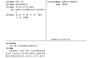 SIC-BN-C复合材料及其制备方法
