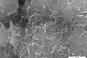 超薄MoS<sub>2</sub>纳米片/CNT复合材料及其制备方法