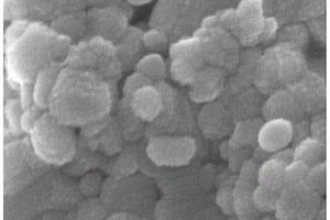 Ni/Ni<Sub>3</Sub>S<Sub>2</Sub>纳米抗菌剂及其制备方法