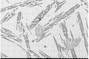 熔点低于600℃的Sn-Zn-Ti活性钎料及其制备方法