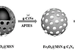 纳米材料Fe<Sub>3</Sub>O<Sub>4</Sub>@MSN-g-C<Sub>3</Sub>N<Sub>4</Sub>-BTA在制备阿尔兹海默病药物方面的应用