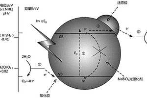 基于金属纳米颗粒增强NaBiO<sub>3</sub>可见光催化作用的方法