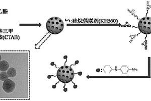 具有防老效果的功能性介孔二氧化硅纳米粒子及其制备方法与应用