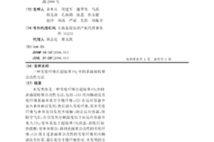 芳纶纤维在超临界CO2中的表面接枝聚合改性方法