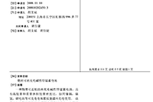 物理可再充电碱性锌锰蓄电池