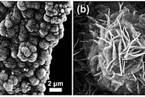 浒苔活性炭复合二氧化锰超级电容器电极材料的制备方法