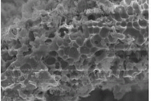 硅藻土制备锂离子电池多孔硅碳纳米管复合负极材料的方法