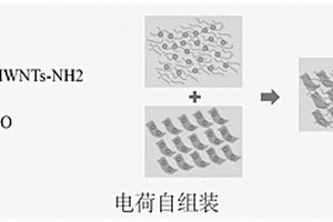 可设计构型的碳纳米管-石墨烯混杂多孔预制体的制备方法