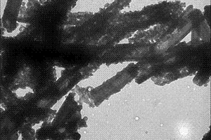 纳米二氧化锡修饰聚苯胺纳米管的制备方法