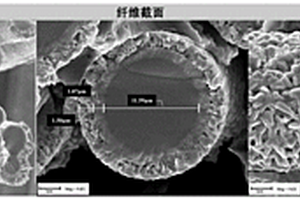 利用SiC纳米晶粒在SiC纤维表面原位合成Ti<Sub>3</Sub>SiC<Sub>2</Sub>界面相的制备方法