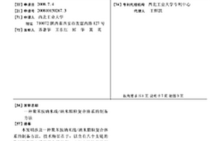 聚苯胺纳米线/纳米颗粒复合体系的制备方法