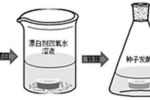 木质纤维中原位生长细菌纤维素的方法