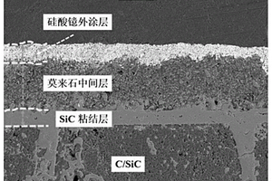 环境障碍涂层及其制备方法和应用